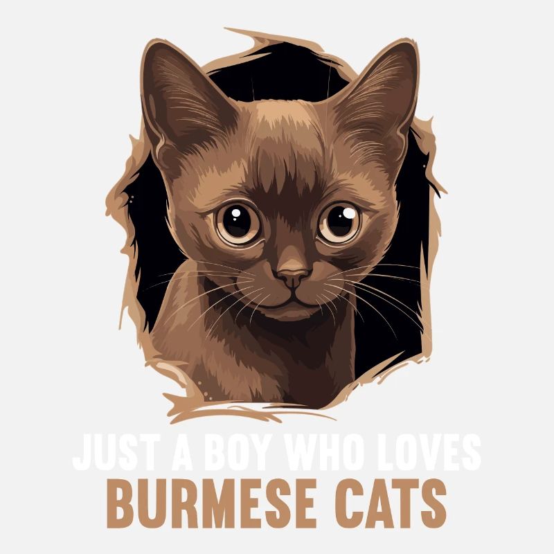 Chat birman Birmanie Katze