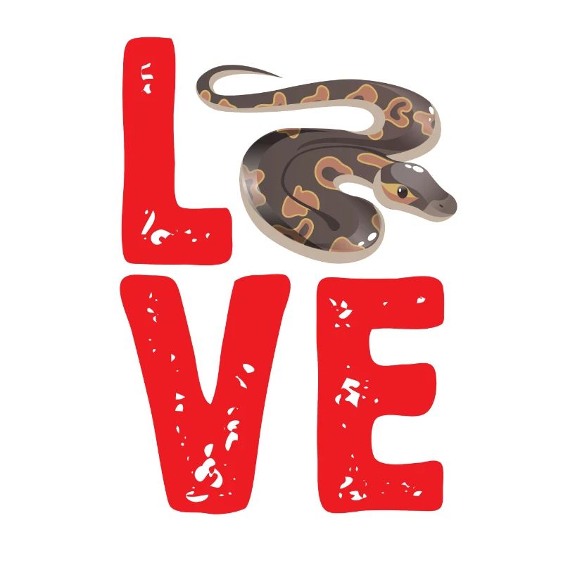 Ball Python Snake King Python