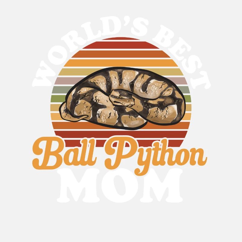 Ball Python Schlange Königspython