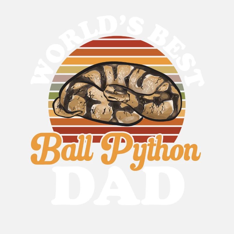 Ball Python Schlange Königspython