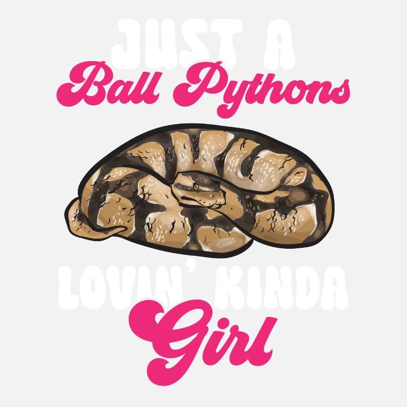 Ball Python Schlange Königspython