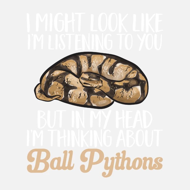 Ball Python Snake King Python