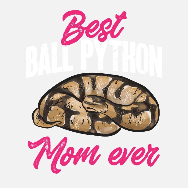 Ball Python Schlange Königspython