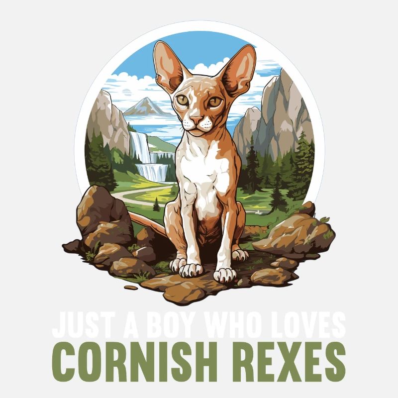 Cornish Rex Kätzchen Cornish Rex Katze