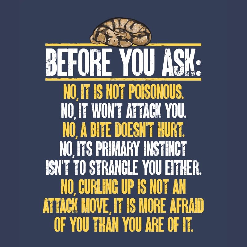 Ball Python Snake King Python