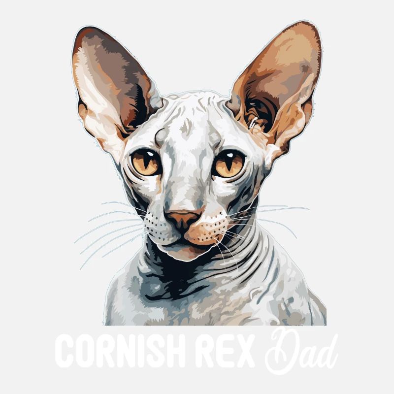 Cornish Rex Kätzchen Cornish Rex Katze