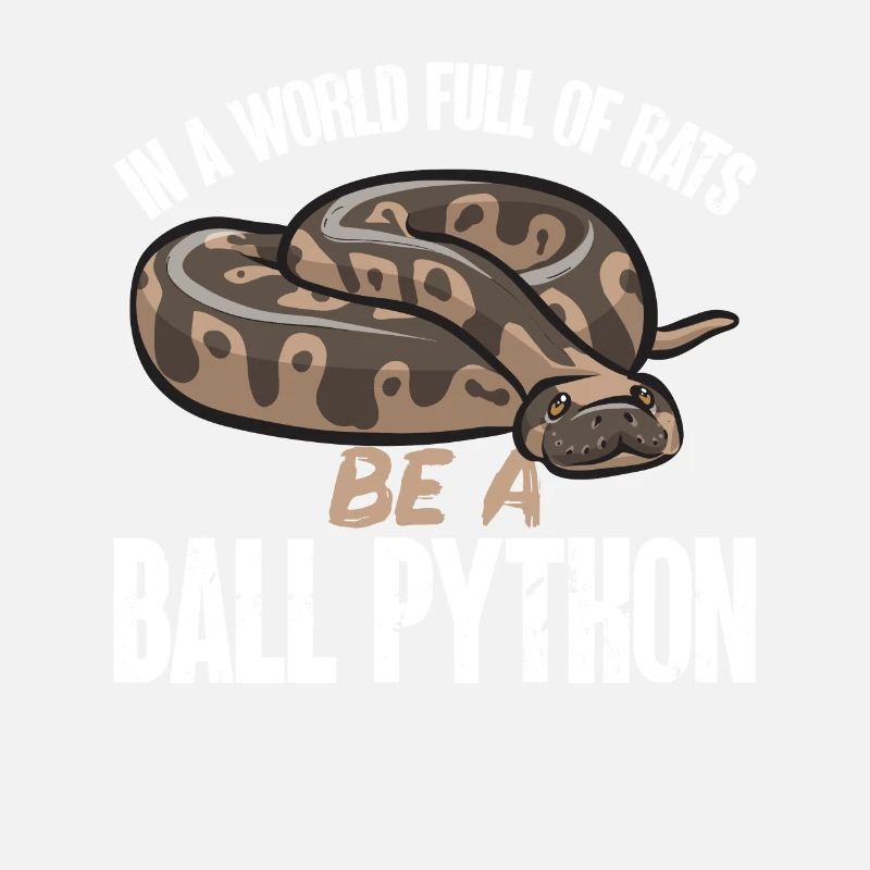 Ball Python Schlange Königspython