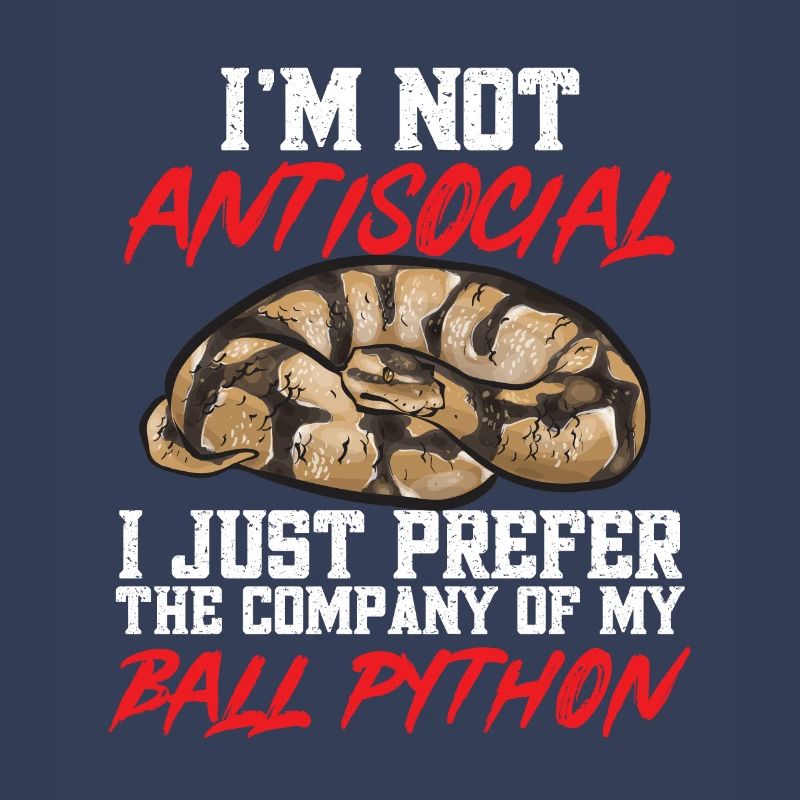 Ball Python Schlange Königspython