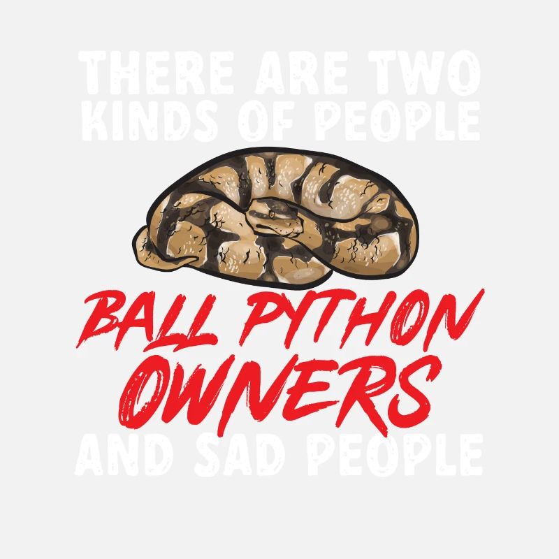 Ball Python Schlange Königspython