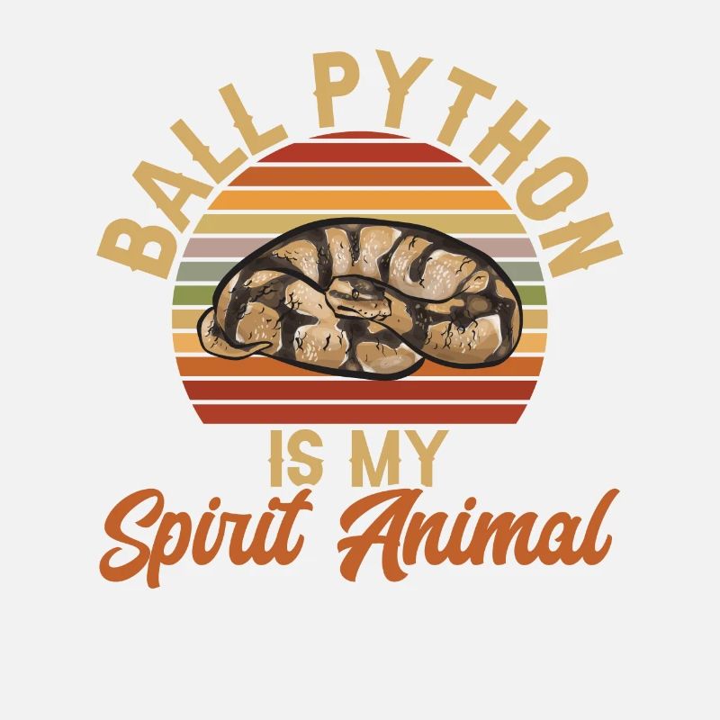 Ball Python Schlange Königspython