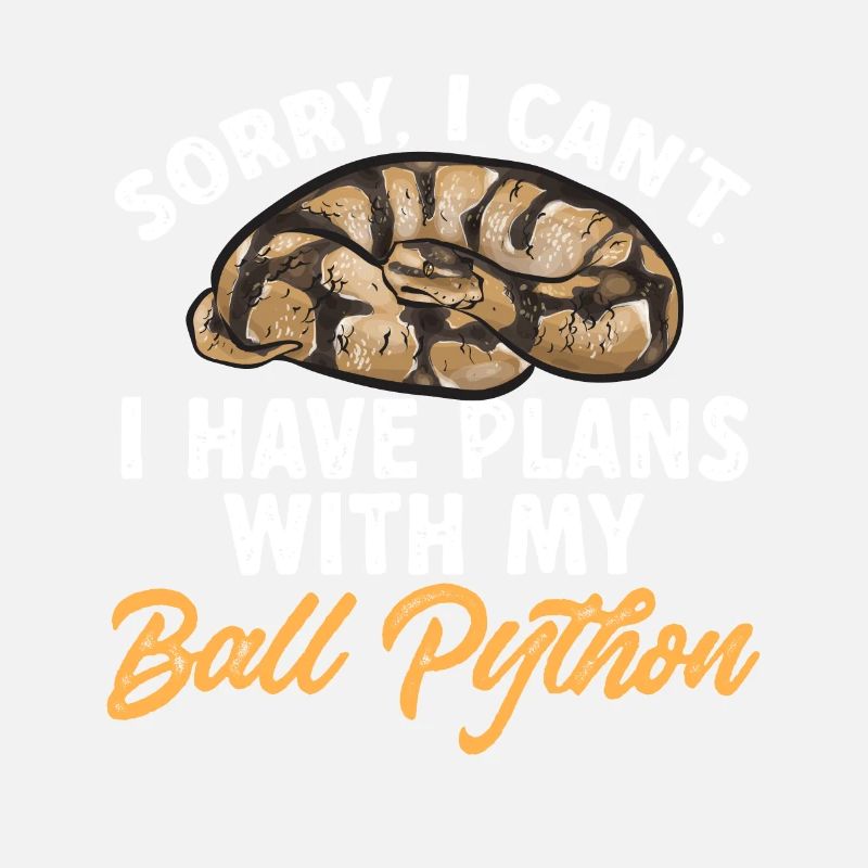 Ball Python Schlange Königspython