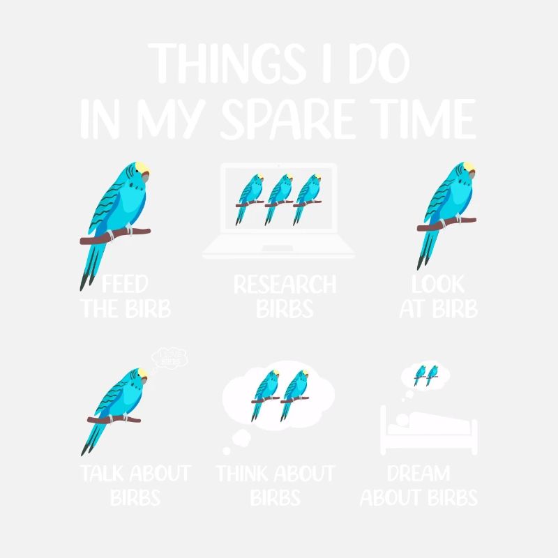 Budgerigar, Feathered Friend, Bird Watching