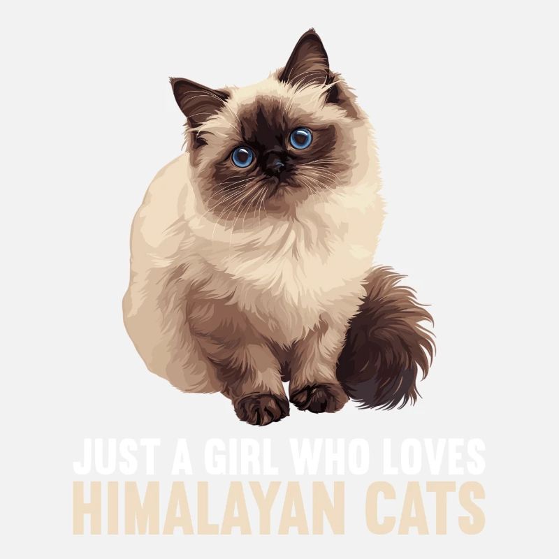 Himalayan Cat Colourpoint Katze