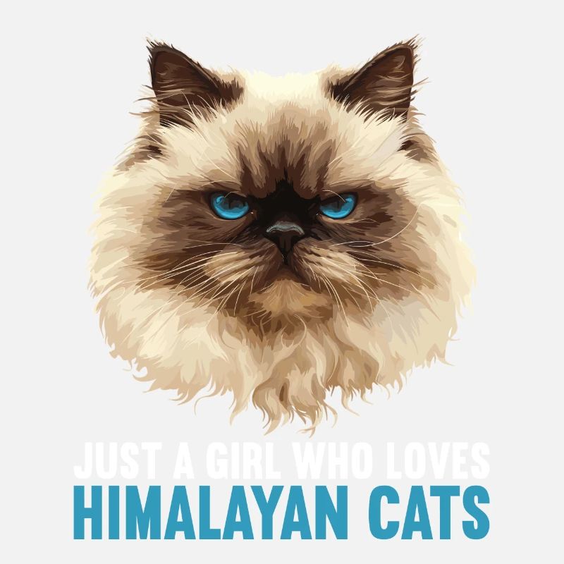 Himalayan Cat Colourpoint Katze