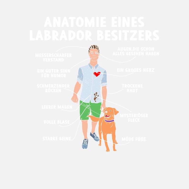 Anatomie eines Labrador Besitzers