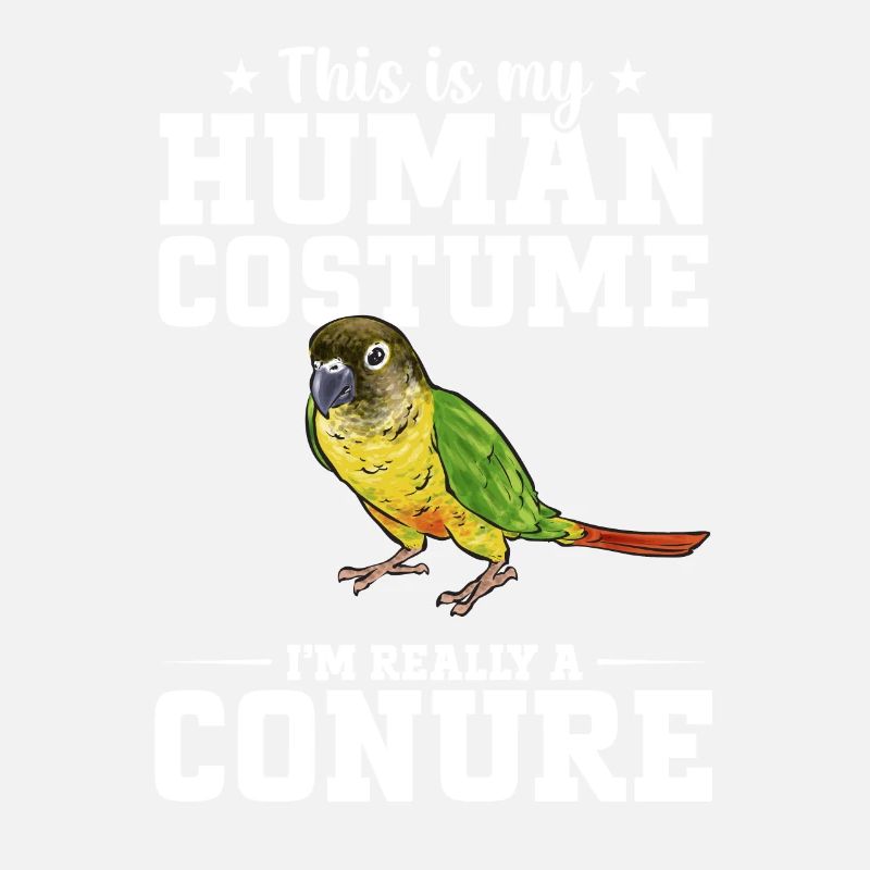Molina Perruche Perroquet Perruche Oiseau Perruche