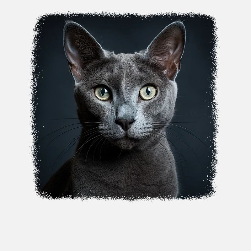 Chat bleu russe Russisch Blau Katze