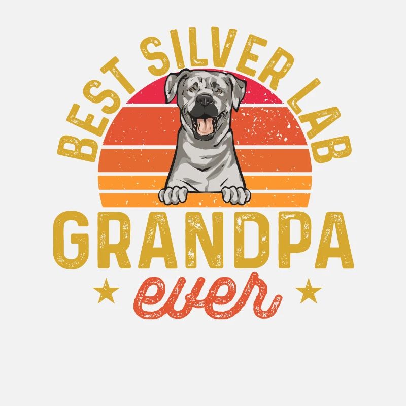 Silver Labrador Retriever Silver Lab