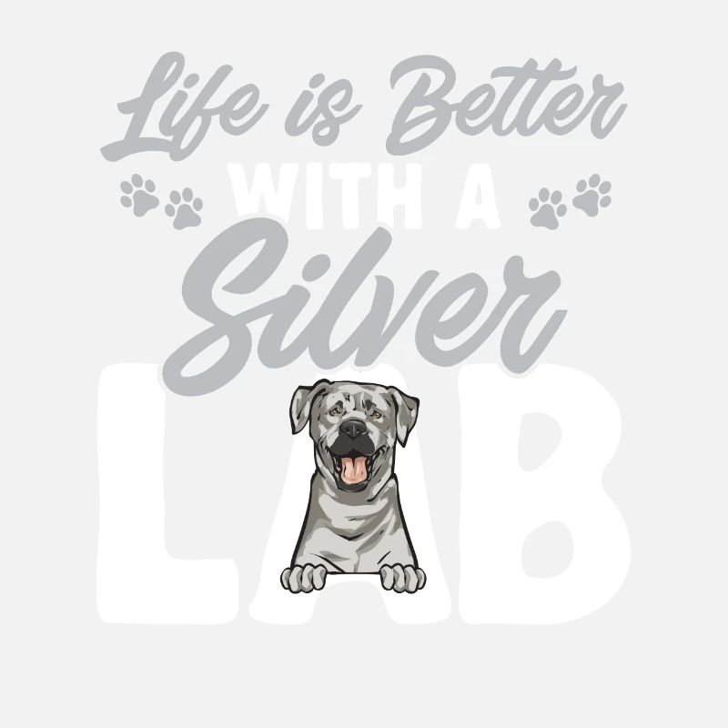 Silver Labrador Retriever Silver Lab