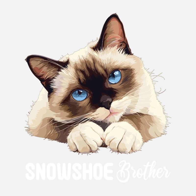 Snowshoe Kitten Snowshoe Cat