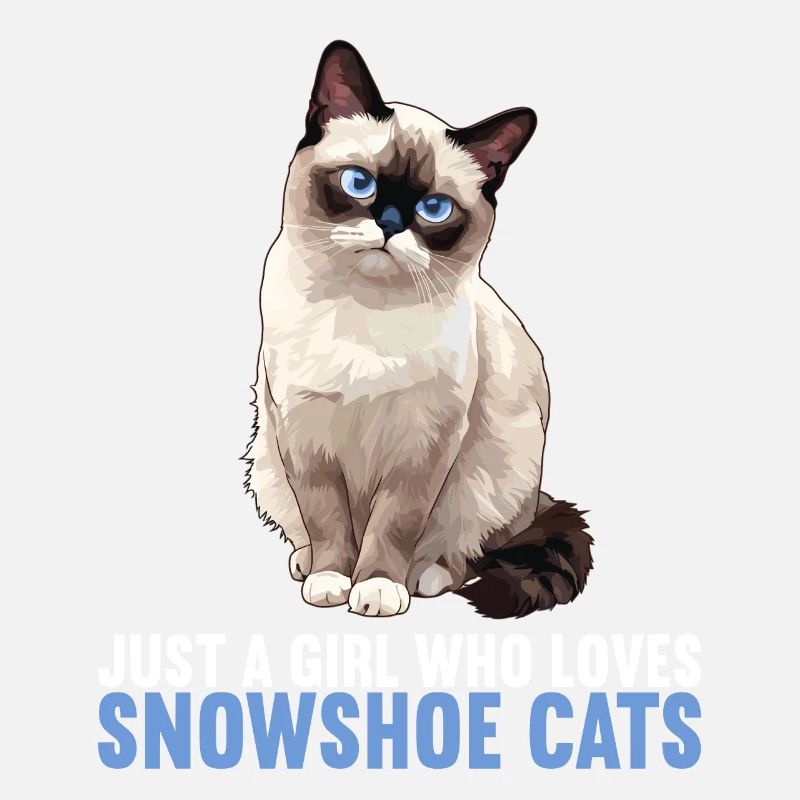 Snowshoe Kitten Snowshoe Cat
