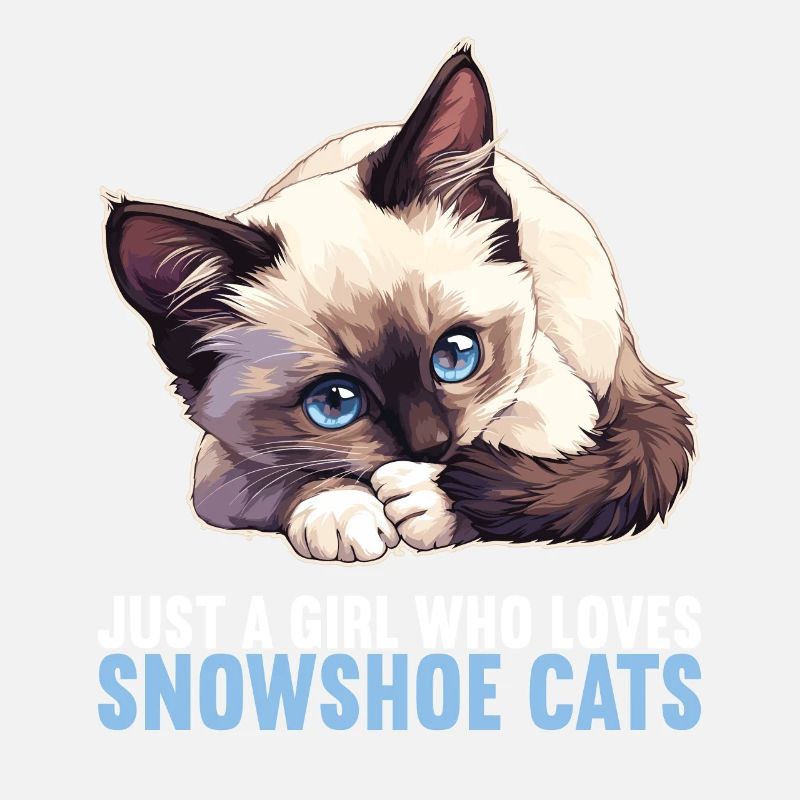 Snowshoe Kitten Snowshoe Cat