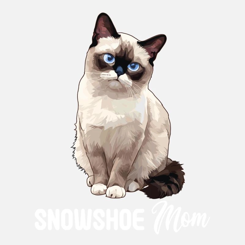 Chaton raquette Chat raquette