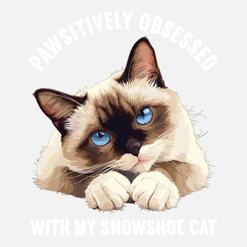 Snowshoe Kitten Snowshoe Cat