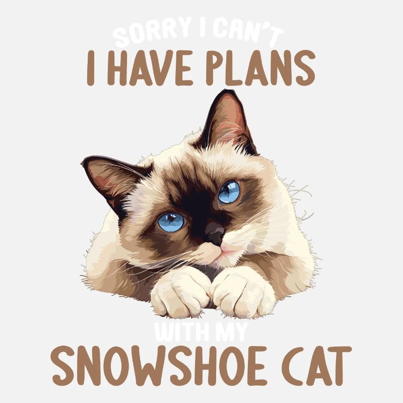 Snowshoe Kitten Snowshoe Cat
