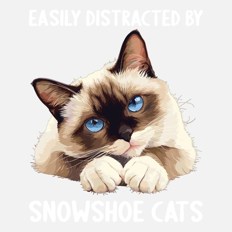 Snowshoe Kitten Snowshoe Cat
