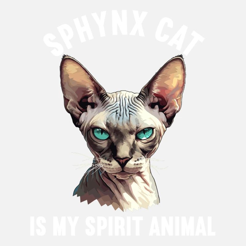 Sphynx Kätzchen Sphynx Katze
