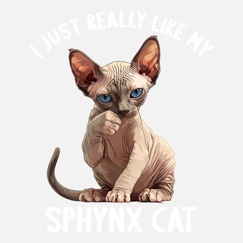 Sphynx Kätzchen Sphynx Katze