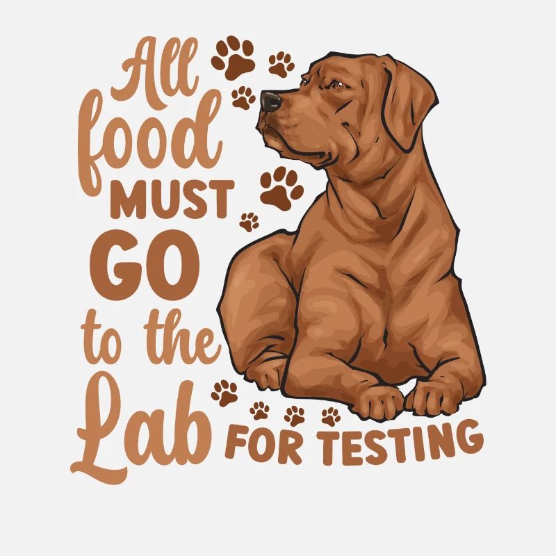 Fuchsroter Labrador Retriever Fox Red Labrador