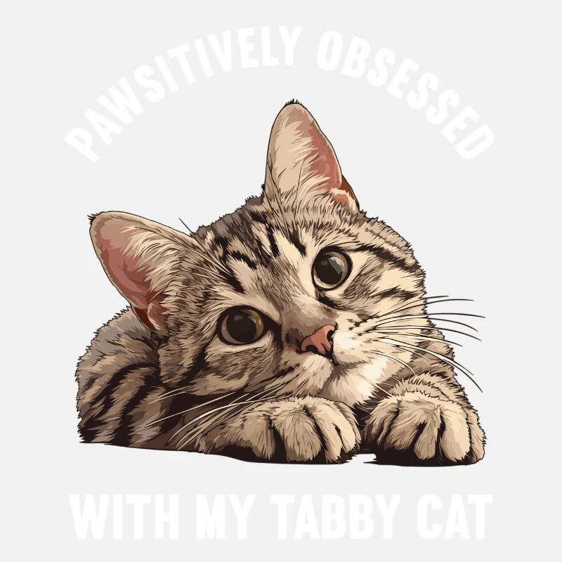 Tabby Kitten Tabby Cat