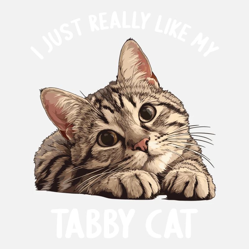 Tabby Kitten Tabby Cat