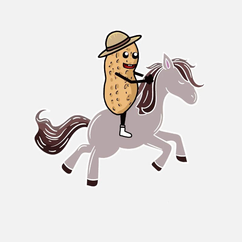 Cacahuète chevaux cavalier cavalier écrou