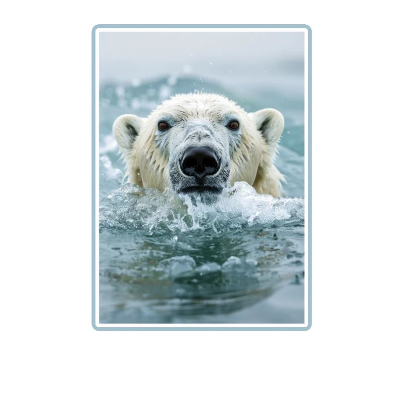 Polar Bear Eisbären Eisbär