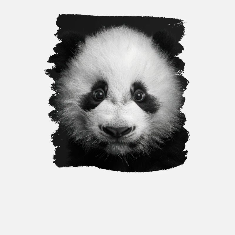 Panda géant Pandas Große Pandas Großer Panda