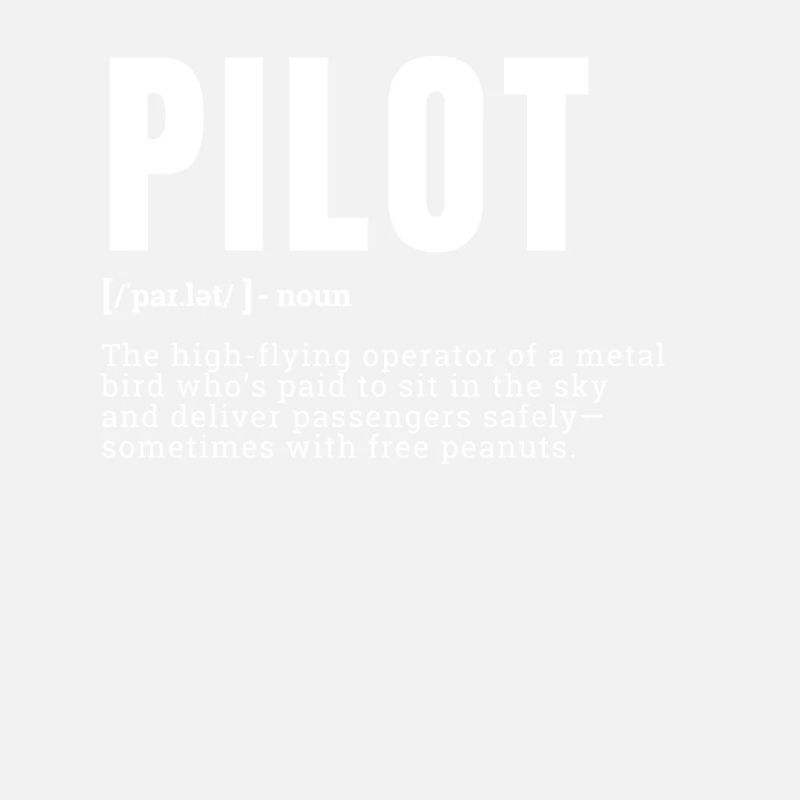 Funny Pilot Dictionary Definition Occupation Occup