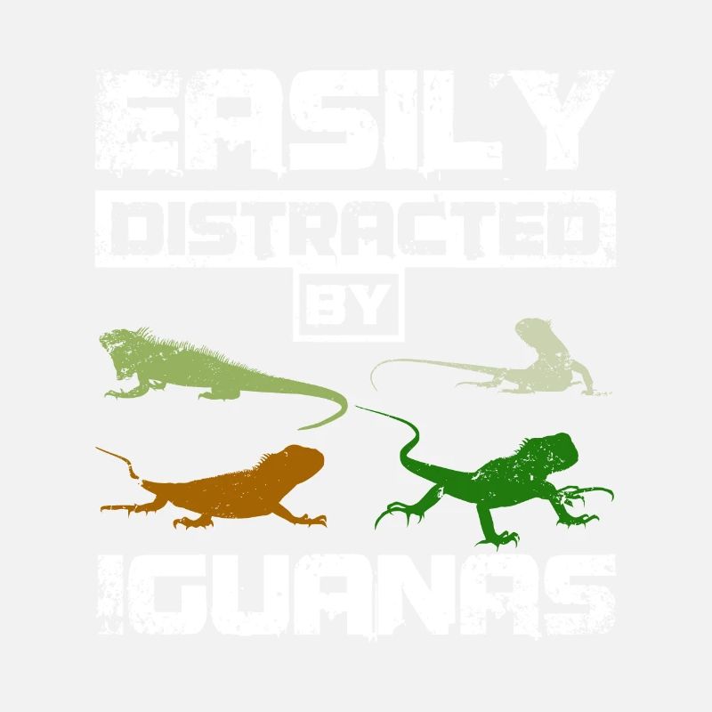 Easily distracted by Iguanas