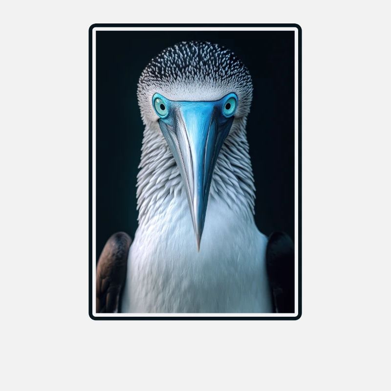 Blue-footed booby
