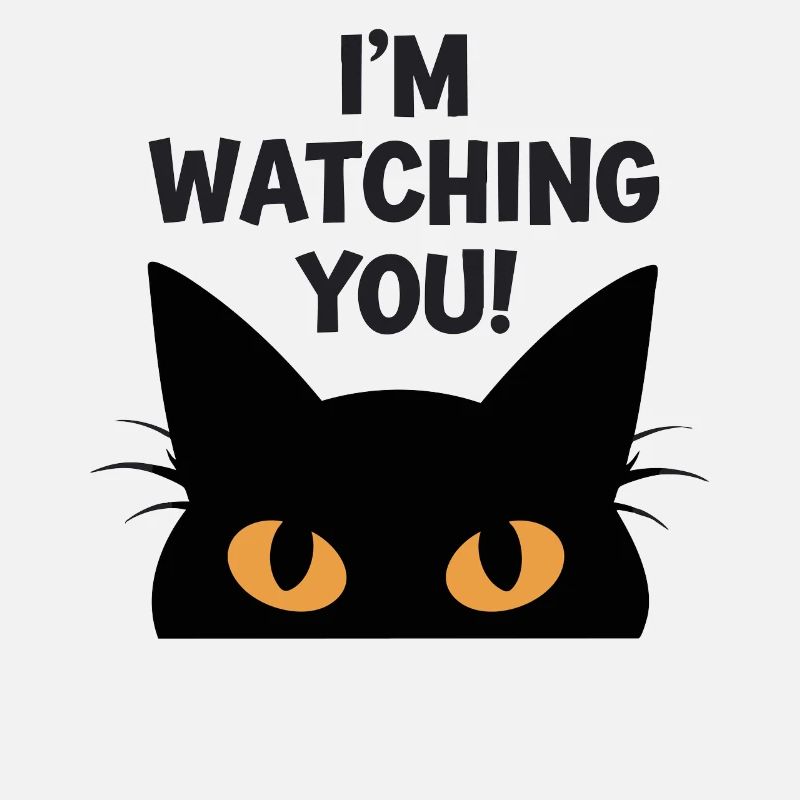 Je te regarde Humour de chat drôle