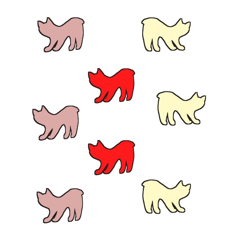 Chats sans queue