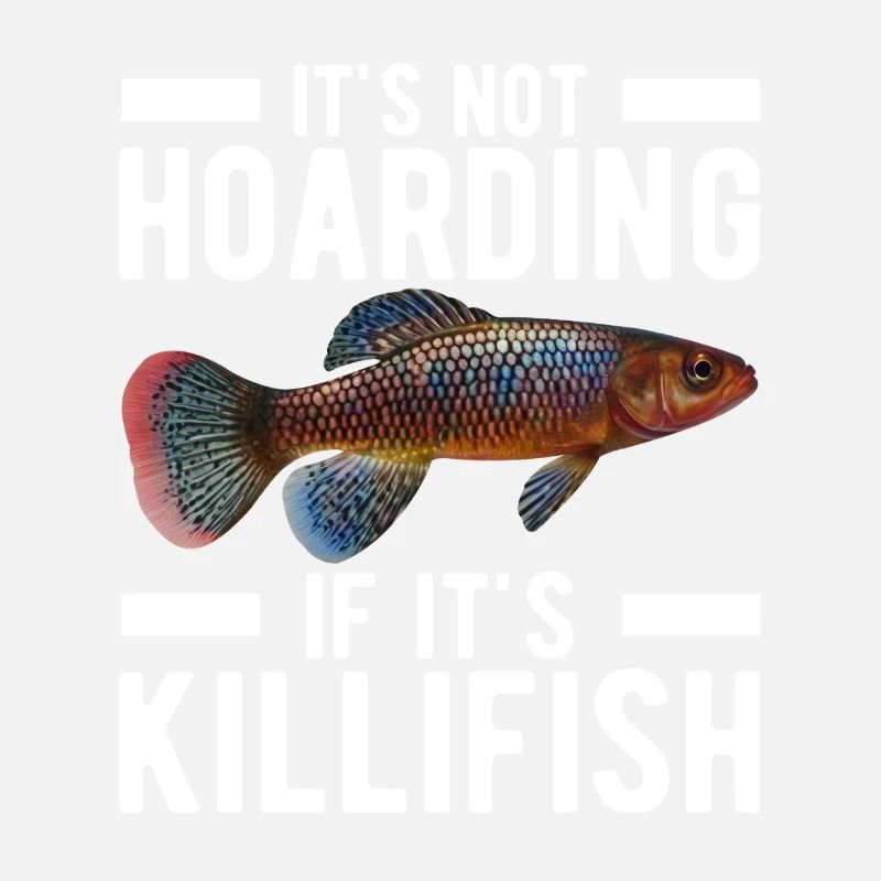 Killifisch Eierlegender Zahnkrapfen Aquarium