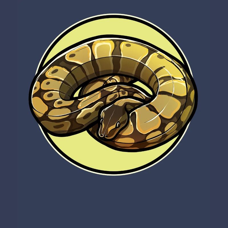 Ball Python Königspythons Königspython