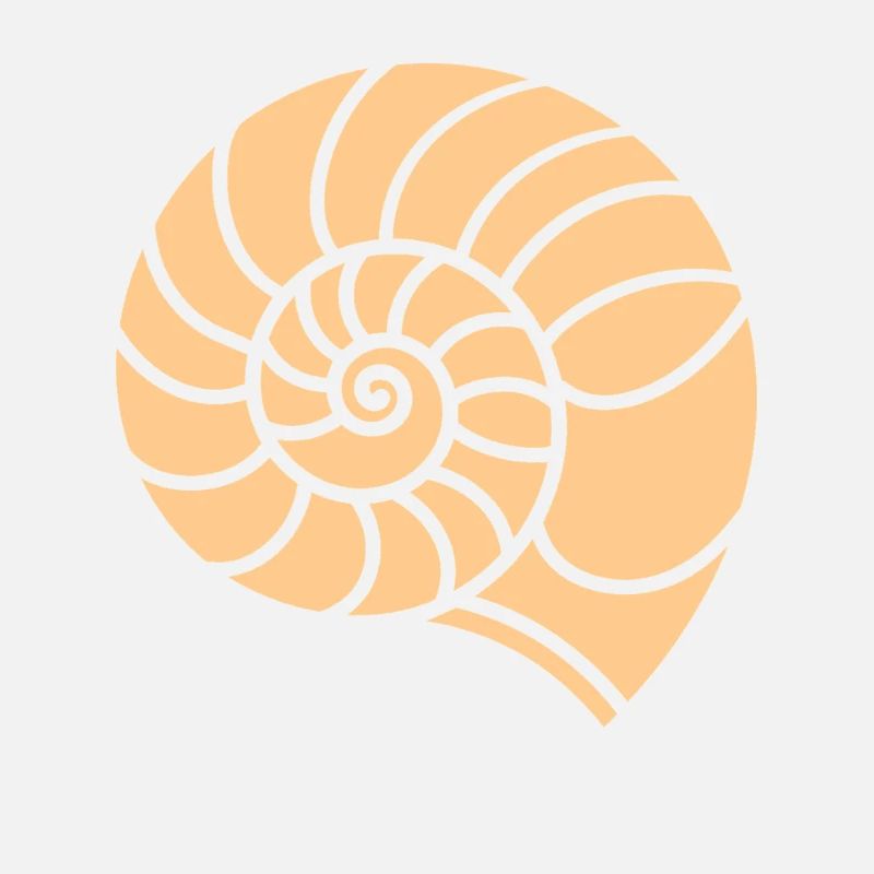 coquillage