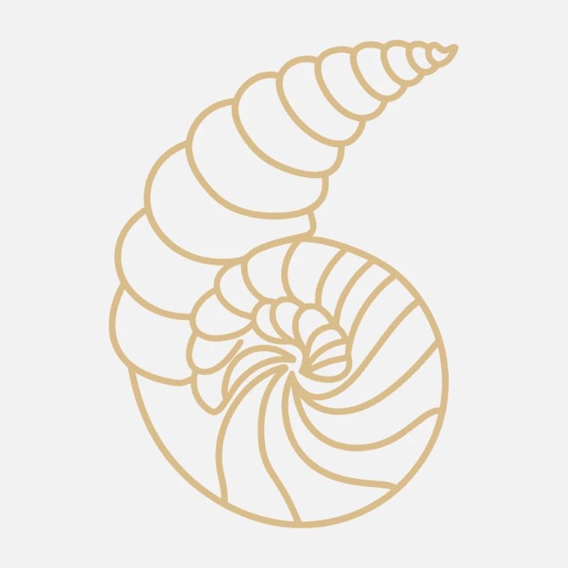 coquillage