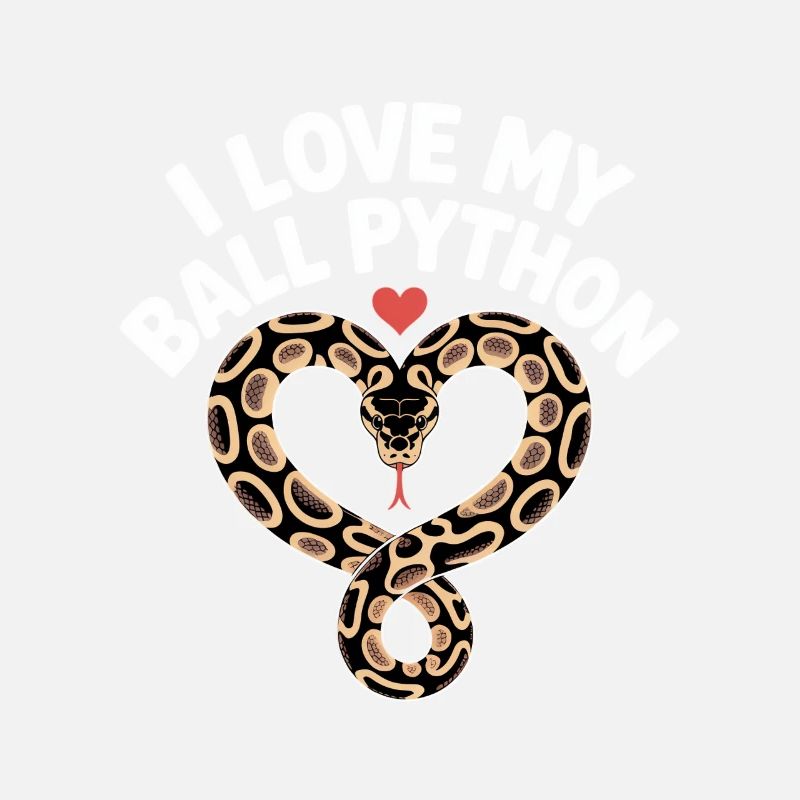 J’adore mon python royal ! Roi python