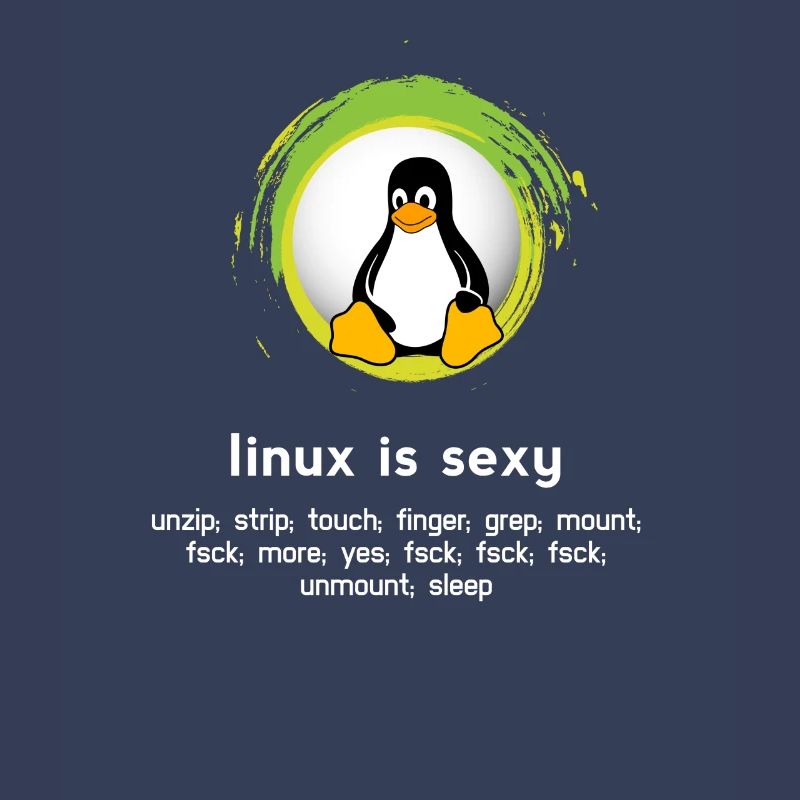 Computer System Penguin Nerd pc inside code admin