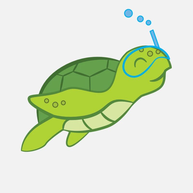 Turtle - Turtle Lover - Turtles
